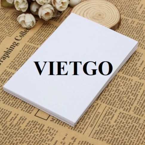 Cơ hội xuất khẩu giấy A4 sang thị trường Ai Cập