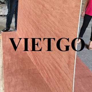 Cơ hội xuất khẩu gỗ dán sang thị trường Ấn Độ 