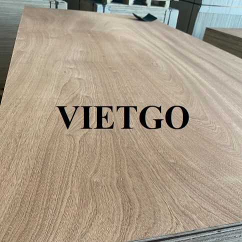 Cơ hội xuất khẩu gỗ dán sang thị trường Ấn Độ 