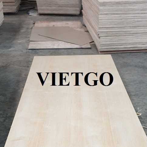 Cơ hội xuất khẩu gỗ dán sang thị trường Mỹ