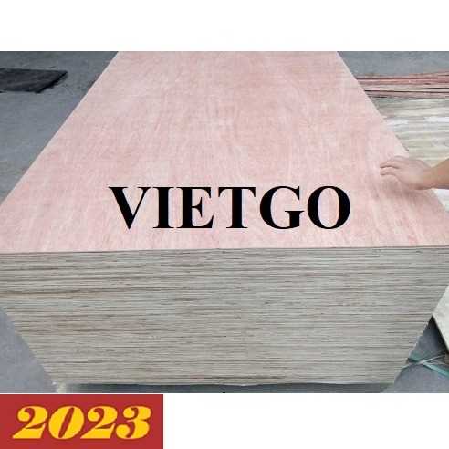 Cơ hội xuất khẩu gỗ dán sang thị trường Mỹ