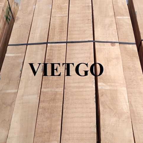 Cơ hội xuất khẩu gỗ dẻ gai xẻ sang thị trường Ấn Độ
