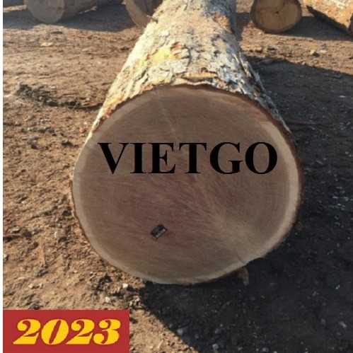 Cơ hội xuất khẩu gỗ sồi tròn sang thị trường Pháp