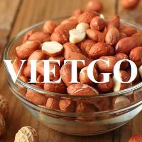 Cơ hội xuất khẩu hạt lạc tới từ vị khách hàng tại Thổ Nhĩ Kỳ