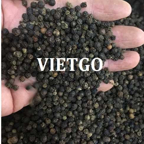 Cơ hội xuất khẩu hạt tiêu đen đến thị trường Ấn Độ