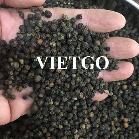 Cơ hội xuất khẩu hạt tiêu sang thị trường Ấn Độ