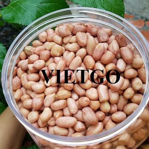 Cơ hội xuất khẩu lạc đến từ vị khách hàng đang làm việc tại Mỹ 