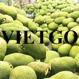 Cơ hội xuất khẩu mít sang thị trường Thổ Nhĩ Kỳ