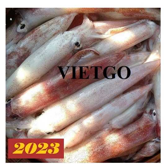 Cơ hội xuất khẩu mực sang thị trường Ý