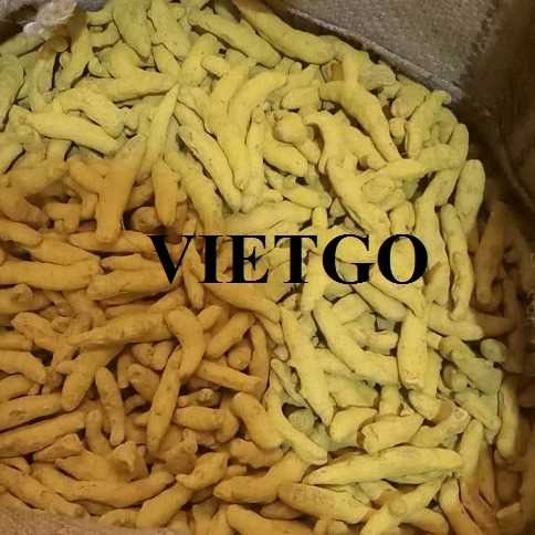 Cơ hội xuất khẩu nghệ sang thị trường Ấn Độ