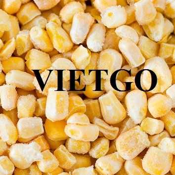 Cơ hội xuất khẩu ngô đông lạnh đến thị trường Hàn Quốc
