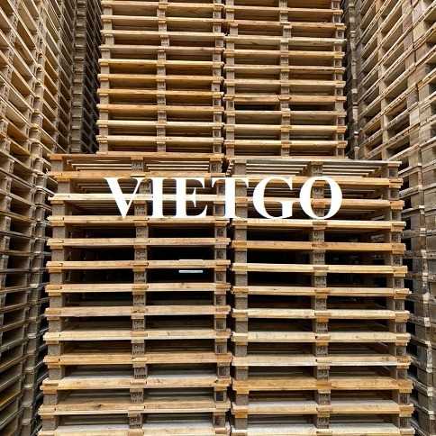 Cơ hội xuất khẩu pallet gỗ sang thị trường Slovenia
