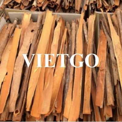 Cơ hội xuất khẩu quế sang thị trường Ấn Độ