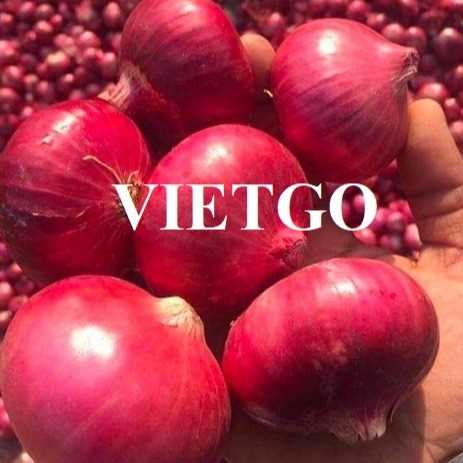 Cơ hội xuất khẩu sản phẩm hành sang thị trường Sri Lanka