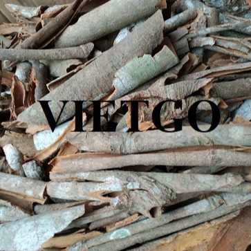 Cơ hội xuất khẩu sản phẩm quế sang thị trường Ấn Độ