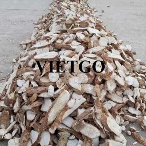 Cơ hội xuất khẩu sản phẩm sắn lát hàng tháng đến thị trường Trung Quốc