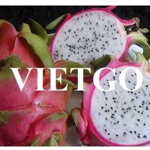 Cơ hội xuất khẩu thanh long đến thị trường Thổ Nhĩ Kỳ