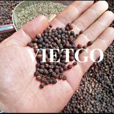 Cơ hội xuất khẩu tiêu đen đến thị trường Thổ Nhĩ Kỳ và Libya