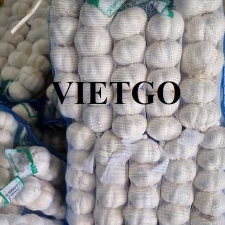 Cơ hội xuất khẩu tỏi trắng sang thị trường Hy Lạp 