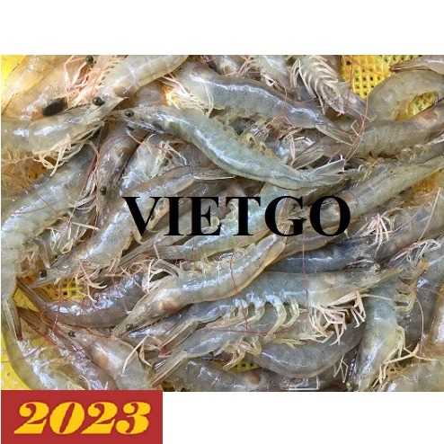 Cơ hội xuất khẩu tôm thẻ chân trắng sang thị trường Ý