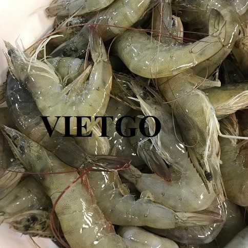 Cơ hội xuất khẩu tôm thẻ chân trắng sang thị trường Nga