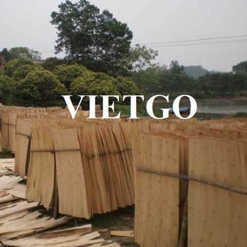 Cơ hội xuất khẩu ván bóc sang thị trường Ấn Độ