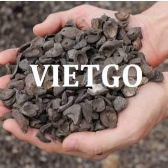 Cơ hội xuất khẩu vỏ hạt cọ sang thị trường Anh, Hà Lan và Bỉ