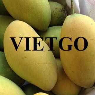 Cơ hội xuất khẩu xoài đến thị trường Thổ Nhĩ Kỳ
