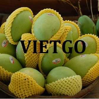 Cơ hội xuất khẩu xoài tươi sang thị trường Oman