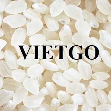 Thương vụ xuất khẩu gạo sang thị trường Hà Lan