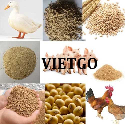 Một doanh nhân đến từ Philippines muốn tìm đối tác để mở một văn phòng đại diện tại Việt Nam