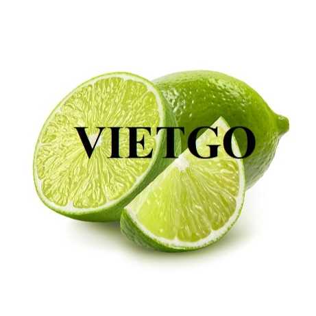 Thương vụ hợp tác xuất khẩu chanh tươi sang thị trường Dubai