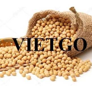 Thương vụ hợp tác xuất khẩu đậu nành sang thị trường Ai Cập