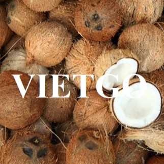 Thương vụ hợp tác xuất khẩu dừa tới thị trường Dubai