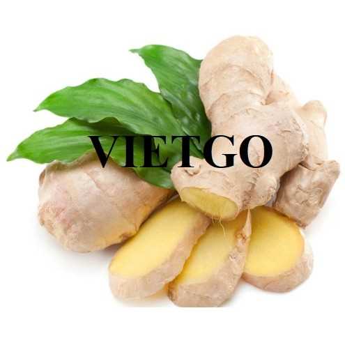 Thương vụ hợp tác xuất khẩu gừng sang thị trường Sri Lanka