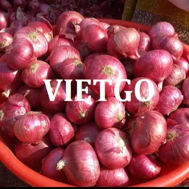 Thương vụ hợp tác xuất khẩu hành sang thị trường Indonesia
