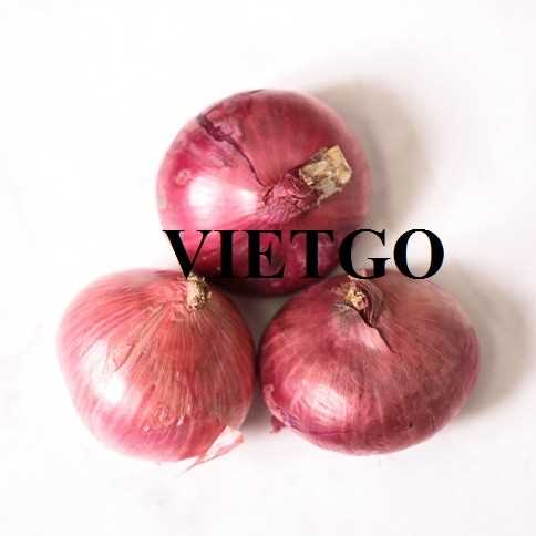 Thương vụ hợp tác xuất khẩu hành sang thị trường Sri Lanka