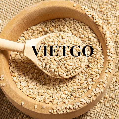 Thương vụ hợp tác xuất khẩu hạt mè sang thị trường Hàn Quốc