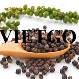 Thương vụ hợp tác xuất khẩu hạt tiêu sang thị trường Ý