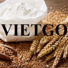 Thương vụ hợp tác xuất khẩu lúa mì từ vị khách hàng đến từ Thổ Nhĩ Kỳ