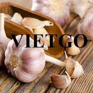 (Gấp) Thương vụ hợp tác xuất khẩu tỏi cùng vị khách hàng đến từ Philippines