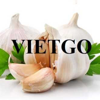 Thương vụ hợp tác xuất khẩu tỏi trắng sang thị trường Sri Lanka