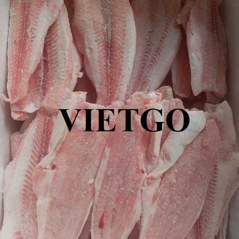 Thương vụ xuất khẩu cá rô phi phi lê sang thị trường Trung Quốc