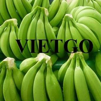 Thương vụ xuất khẩu chuối sang thị trường Tây Ban Nha