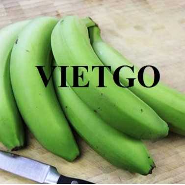 Thương vụ xuất khẩu chuối sang thị trường Thổ Nhĩ KỲ