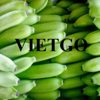 Thương vụ xuất khẩu chuối đến từ vị khách hàng người Áo
