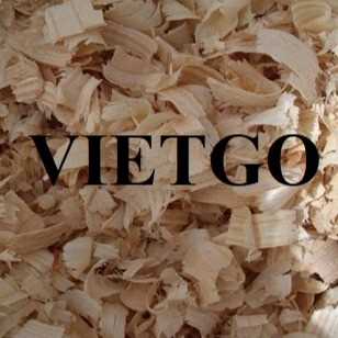 Thương vụ xuất khẩu dăm bào sang thị trường Ý