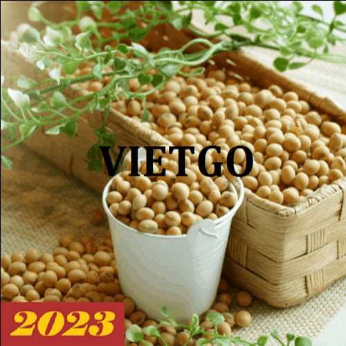 Thương vụ xuất khẩu đậu nành sang thị trường Trung Quốc