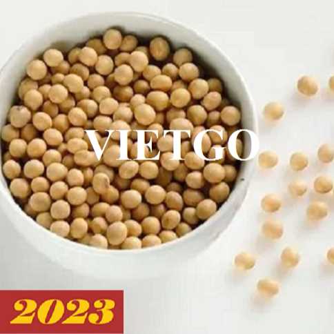 Thương vụ xuất khẩu đậu nành sang thị trường Trung Quốc