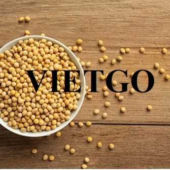 Thương vụ xuất khẩu đậu nành sang thị trường Việt Nam
